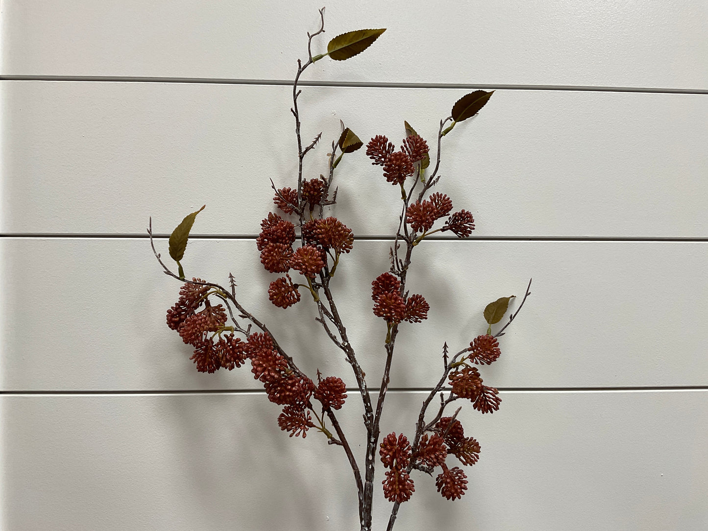 Burgundy Pearl Branch