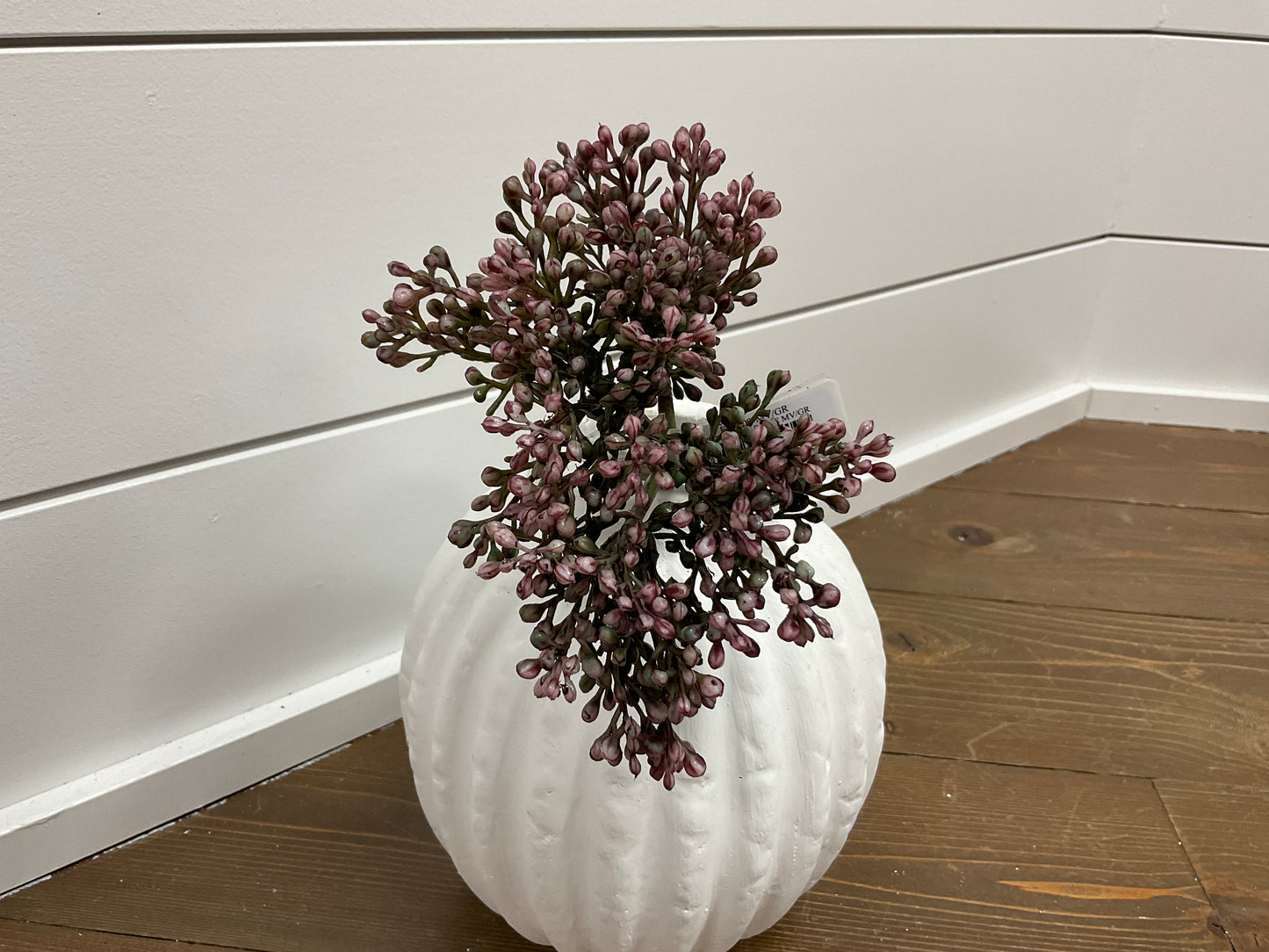 9" Sedum Bundle MV/Gr