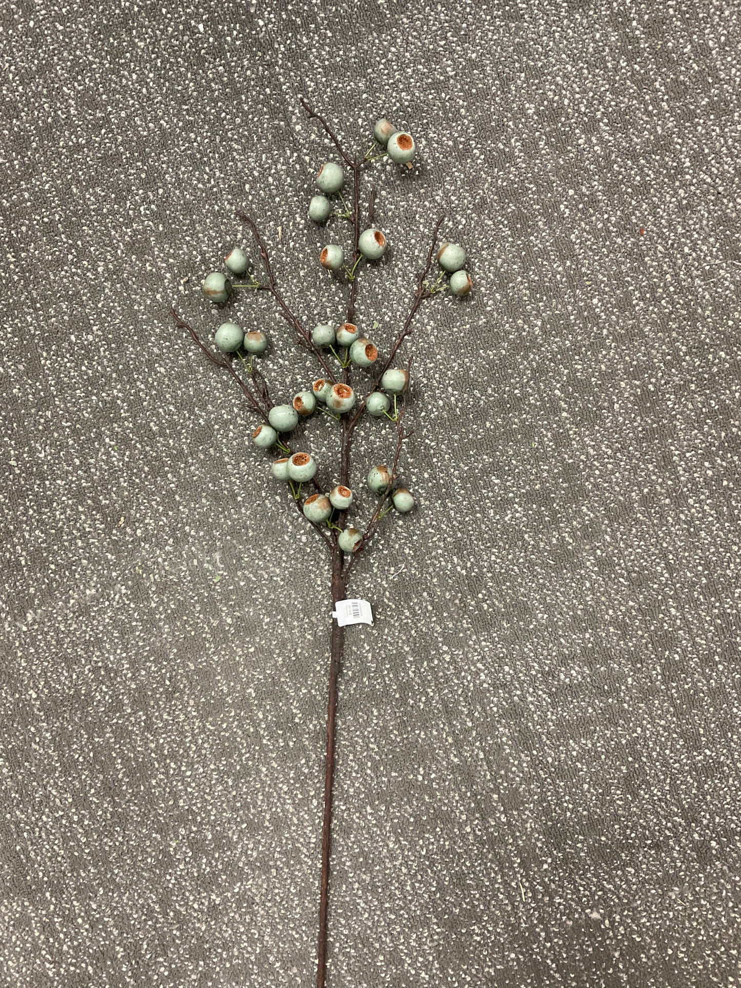 SGY-M Crater Berry Spray