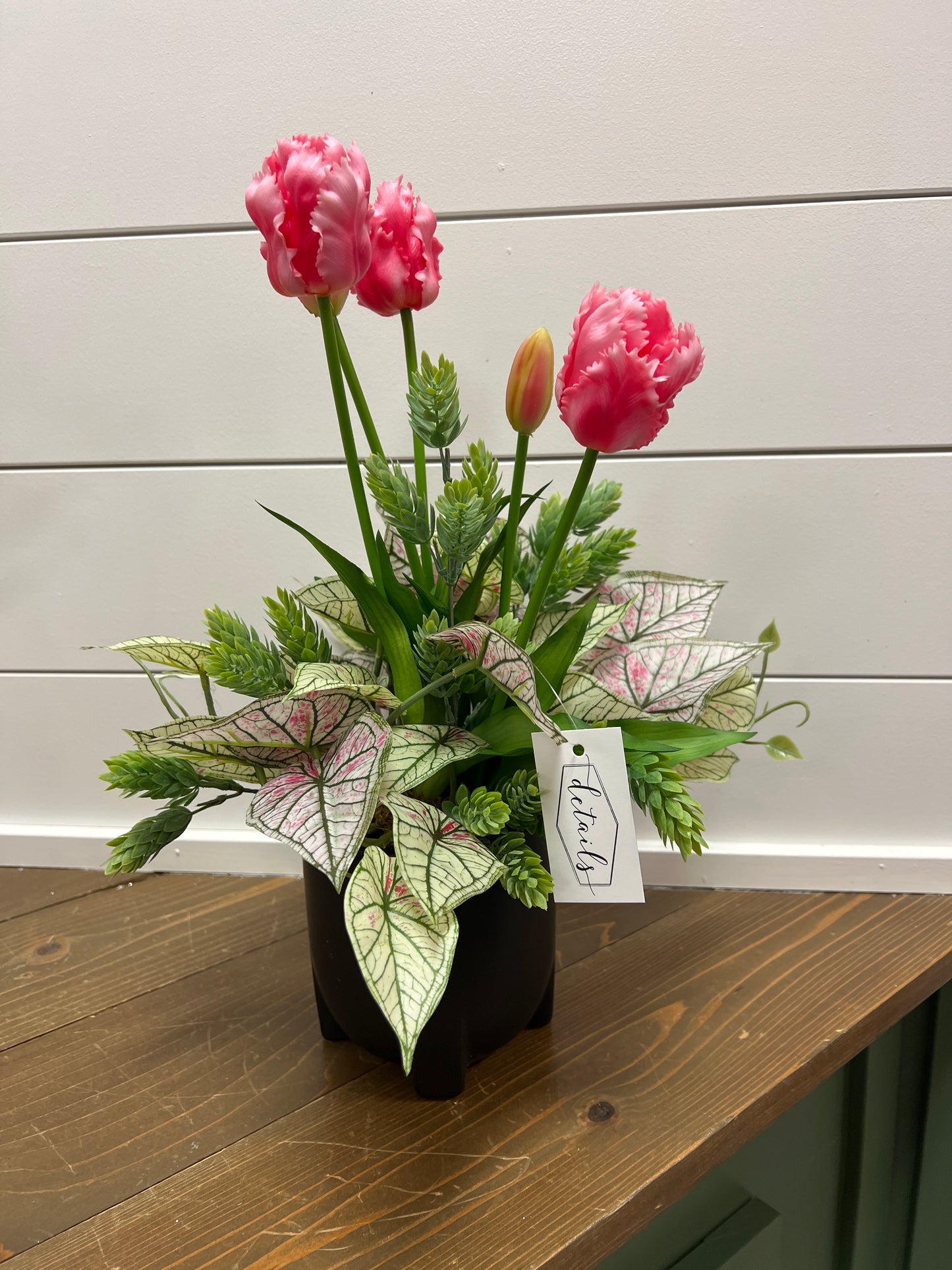 Pink Tulip with coleus in Black Container