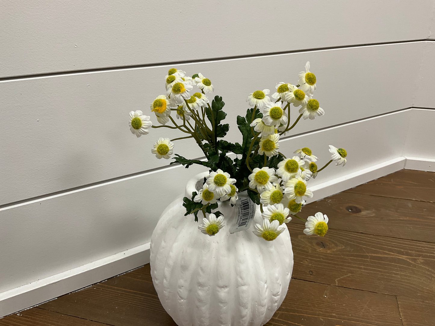 12" Mini Daisy Bundle x3 WH