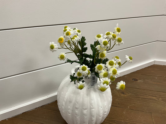 12" Mini Daisy Bundle x3 WH