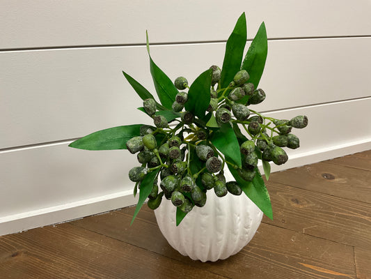 Crater Berry Bundle Green