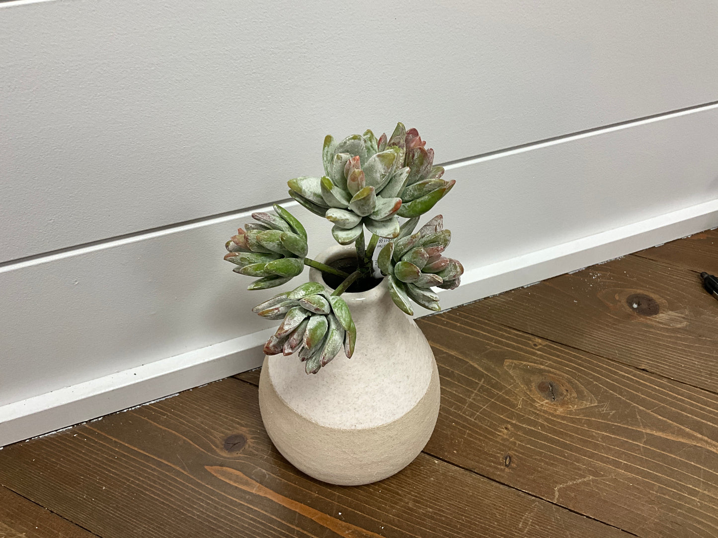 10" Soft Plastic Sedum Pick