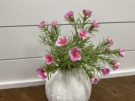 Prairie Blossom Bush 11"