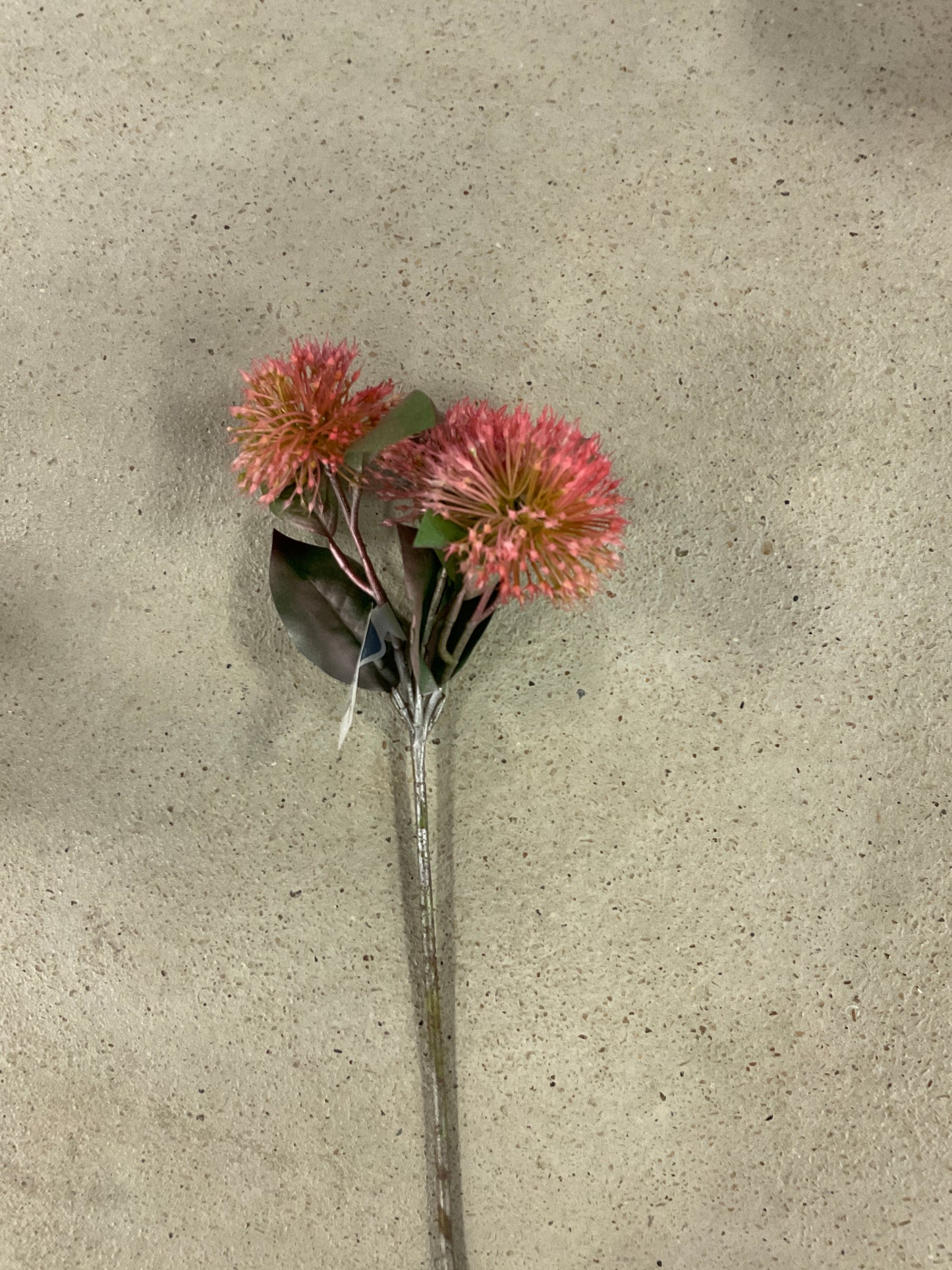 15" Chi Sweet Gum Blossom Spray