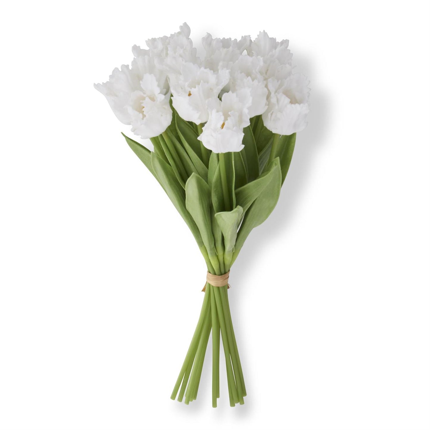 White Tulip Bundle