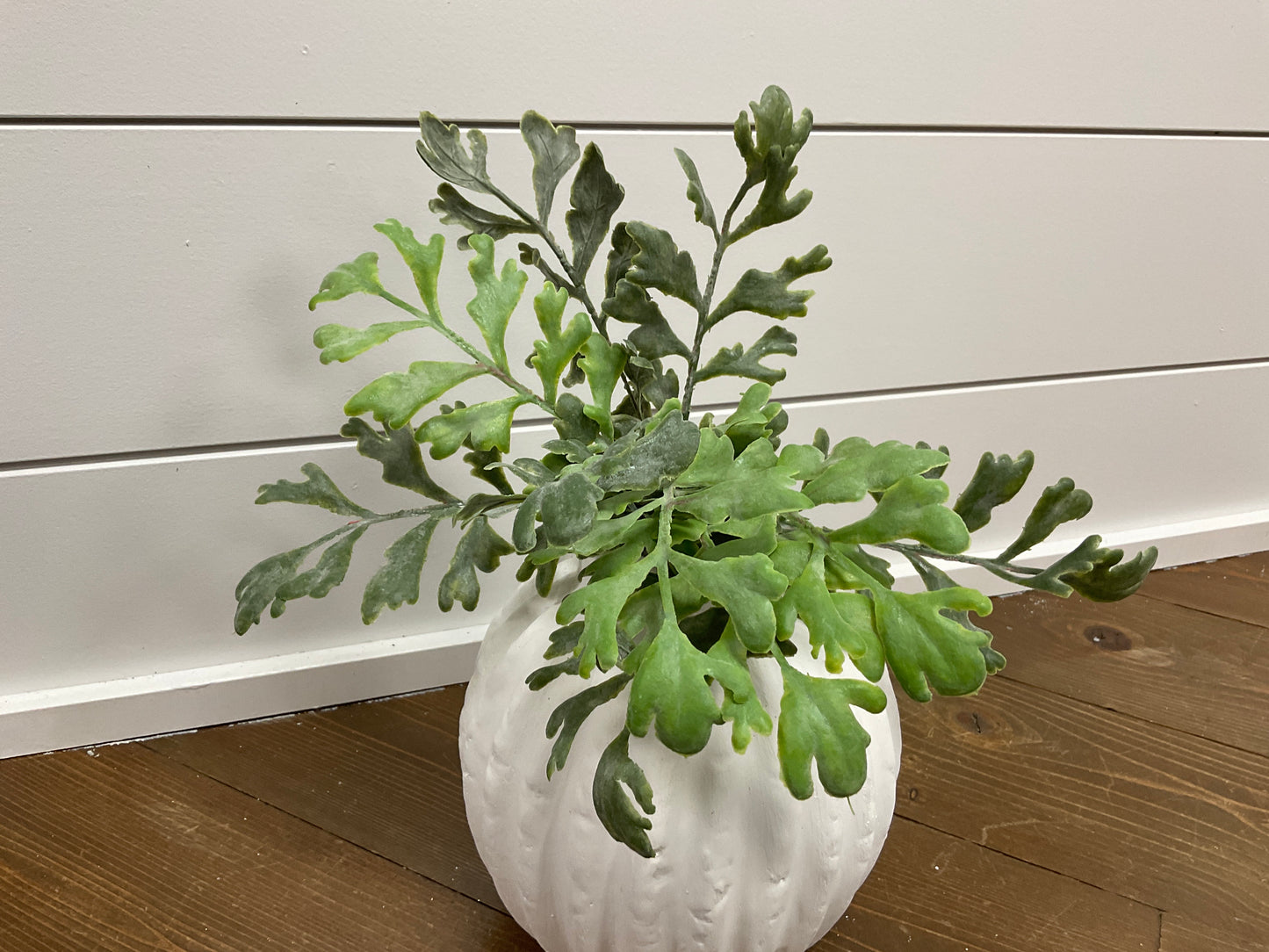 12" Fern Pick Assortment