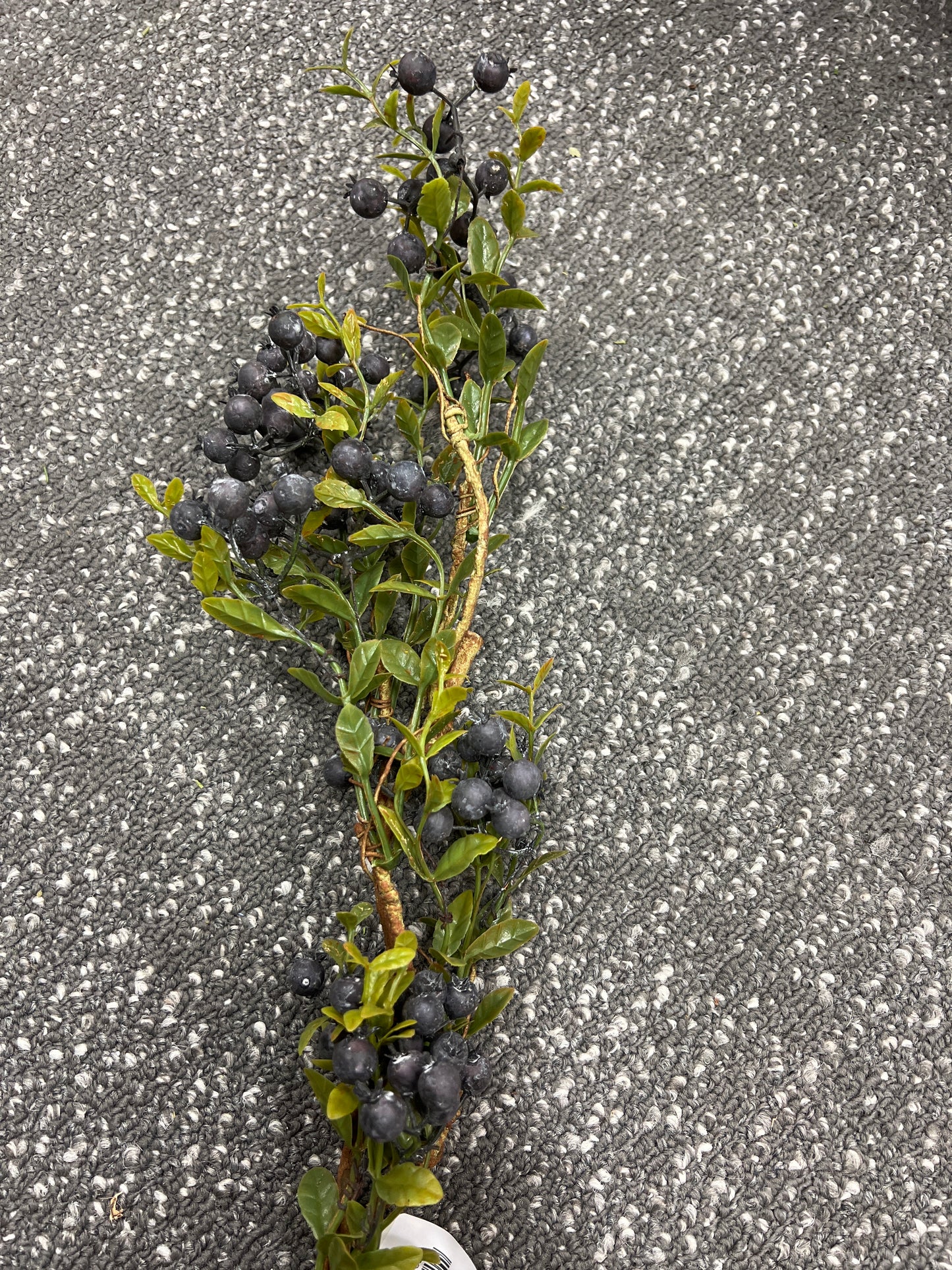 Mini Rosehip Spray 22"