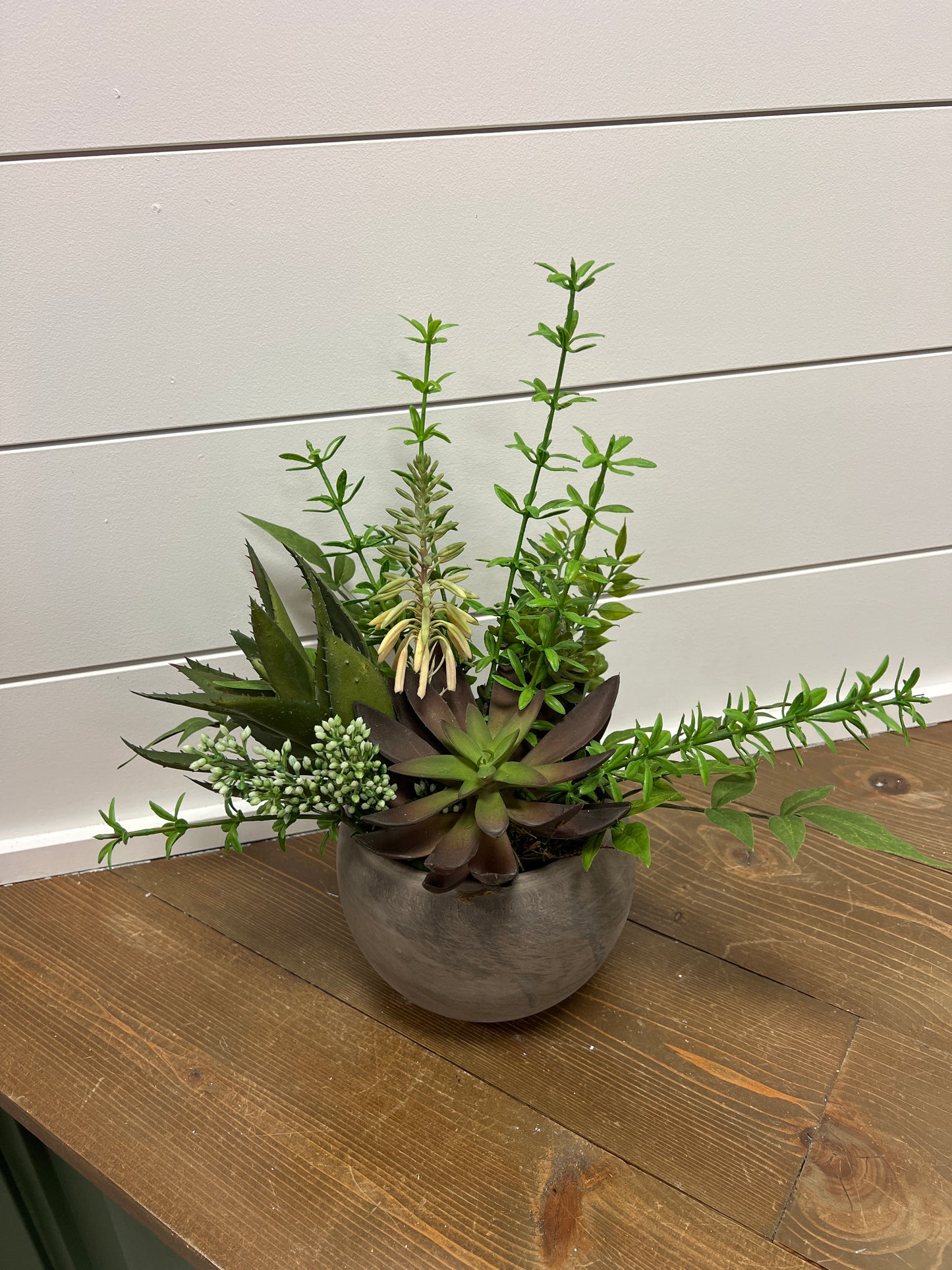 Succulent in Brown Container