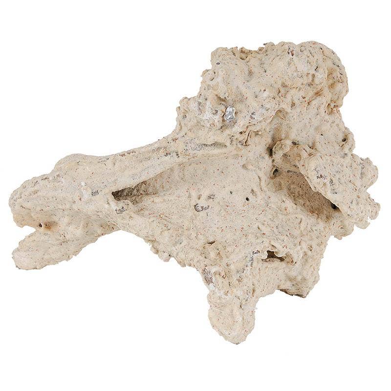 13.5x9x7" Natural Root Décor - Cream