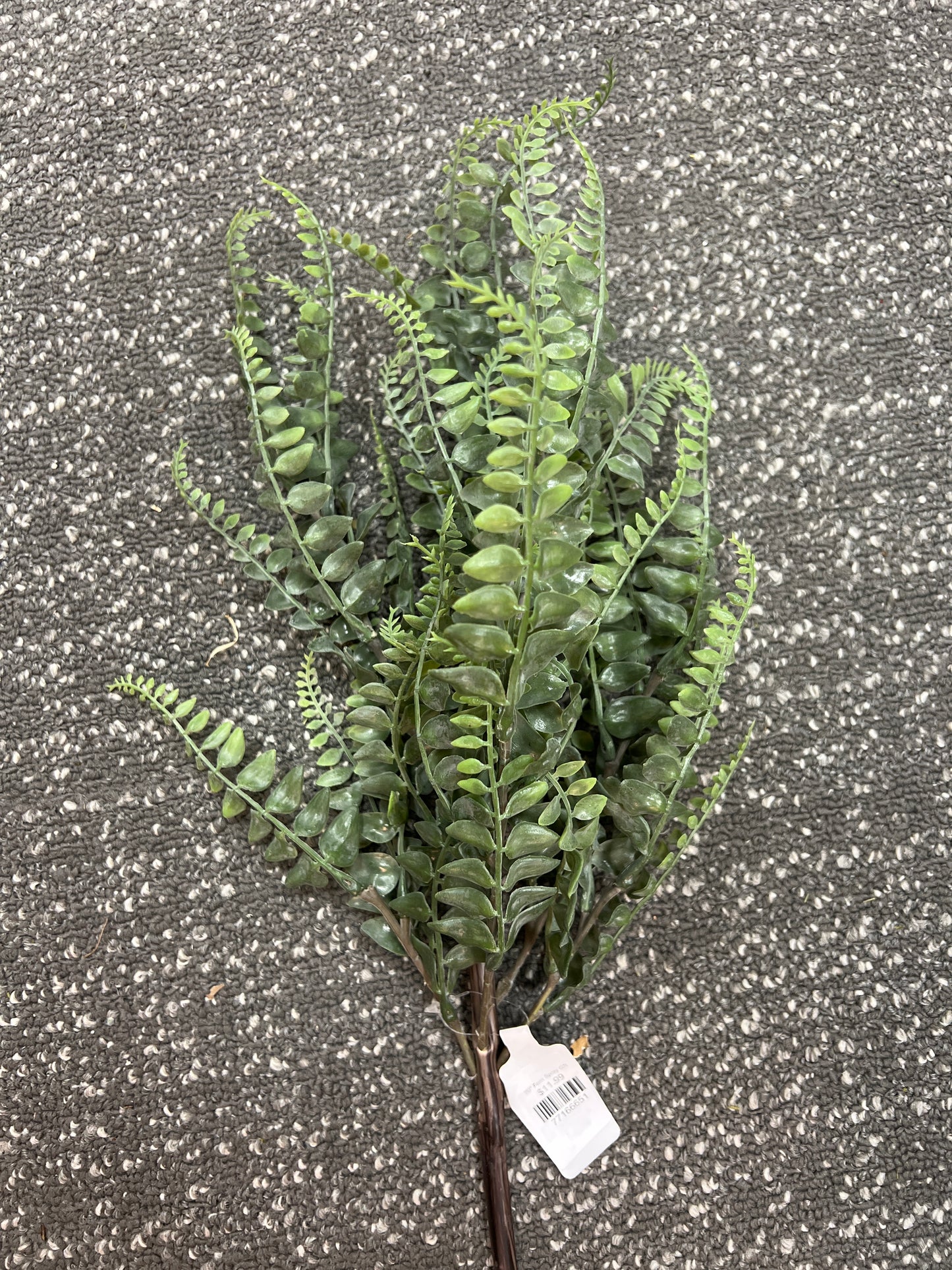 20" Fern Spray GR