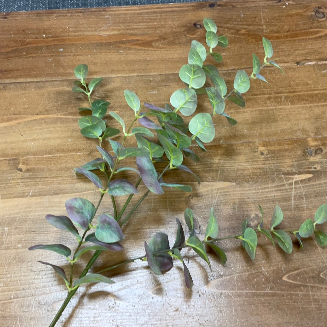 Eucalptus Spray