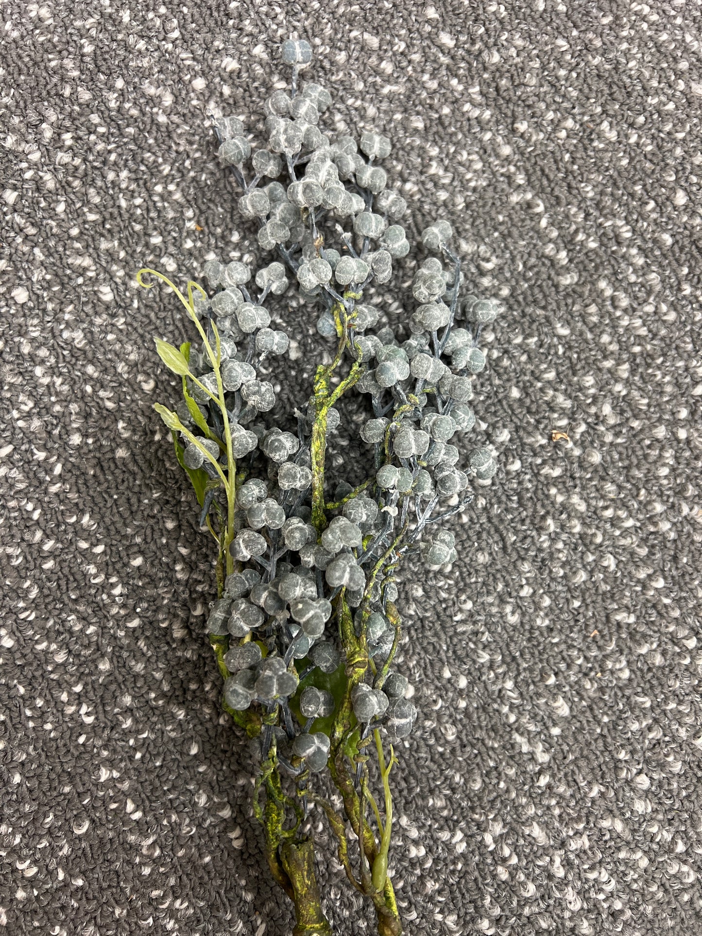 Tallow Berry Spray 28" DA