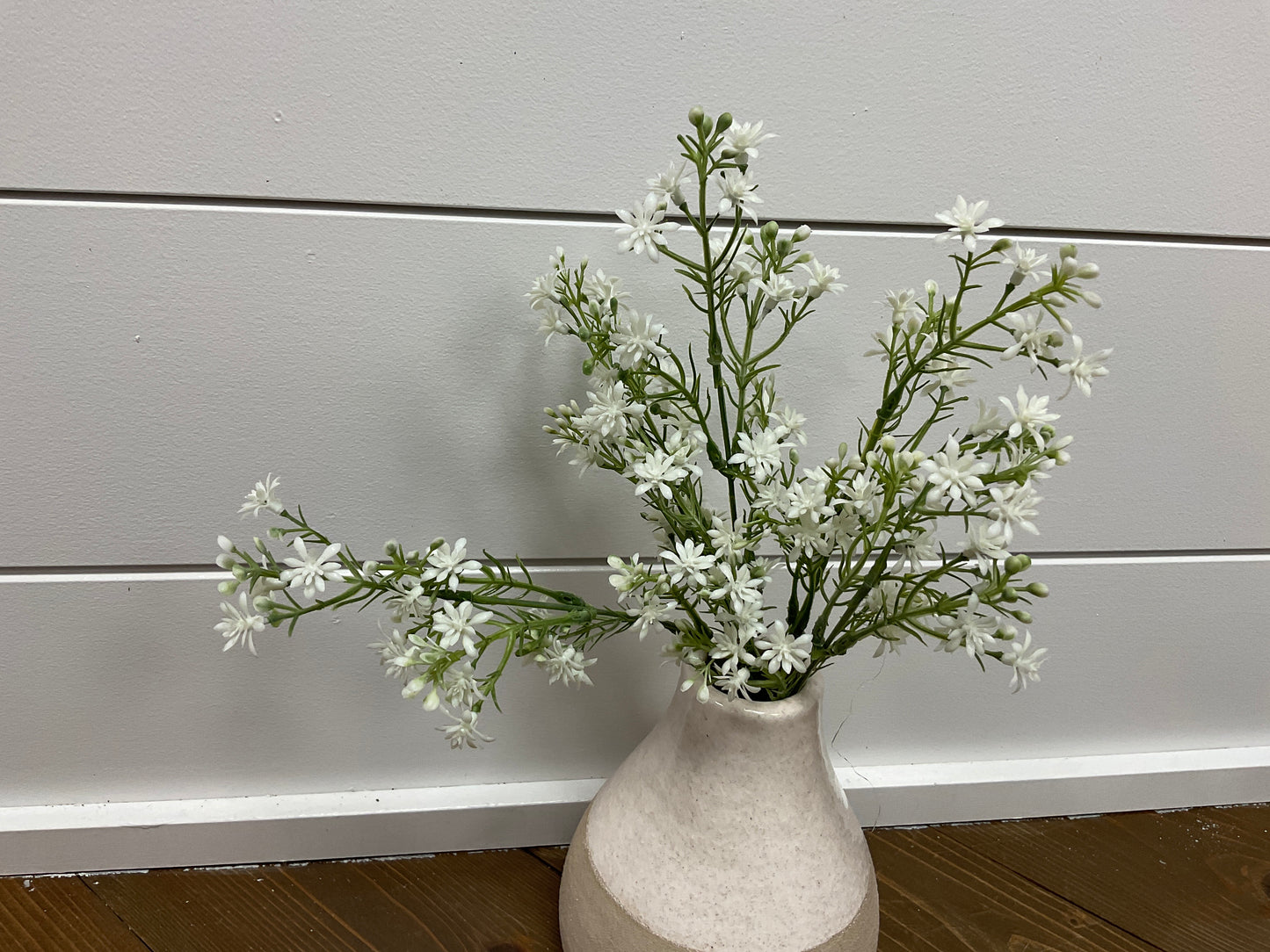 STAR ASTER BUSH, 14", WHITE