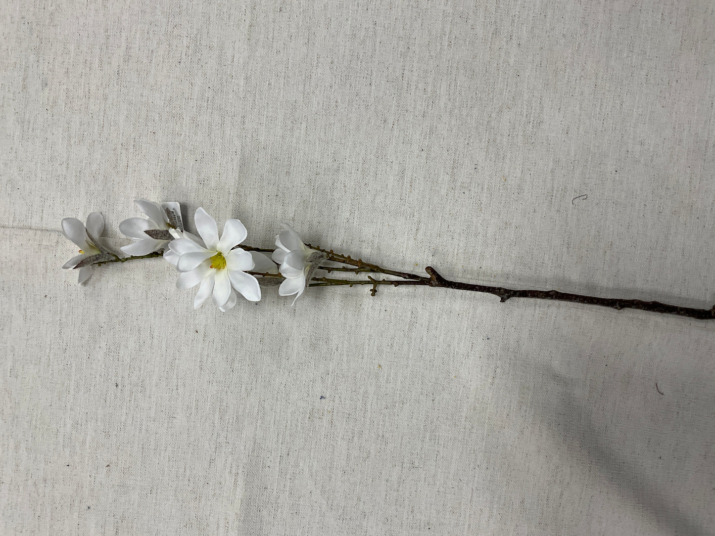 28.75 Magnolia White