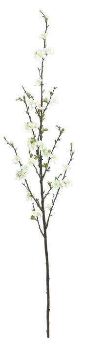 QUINCE BLOSSOM BRANCH, 51"; CREAM