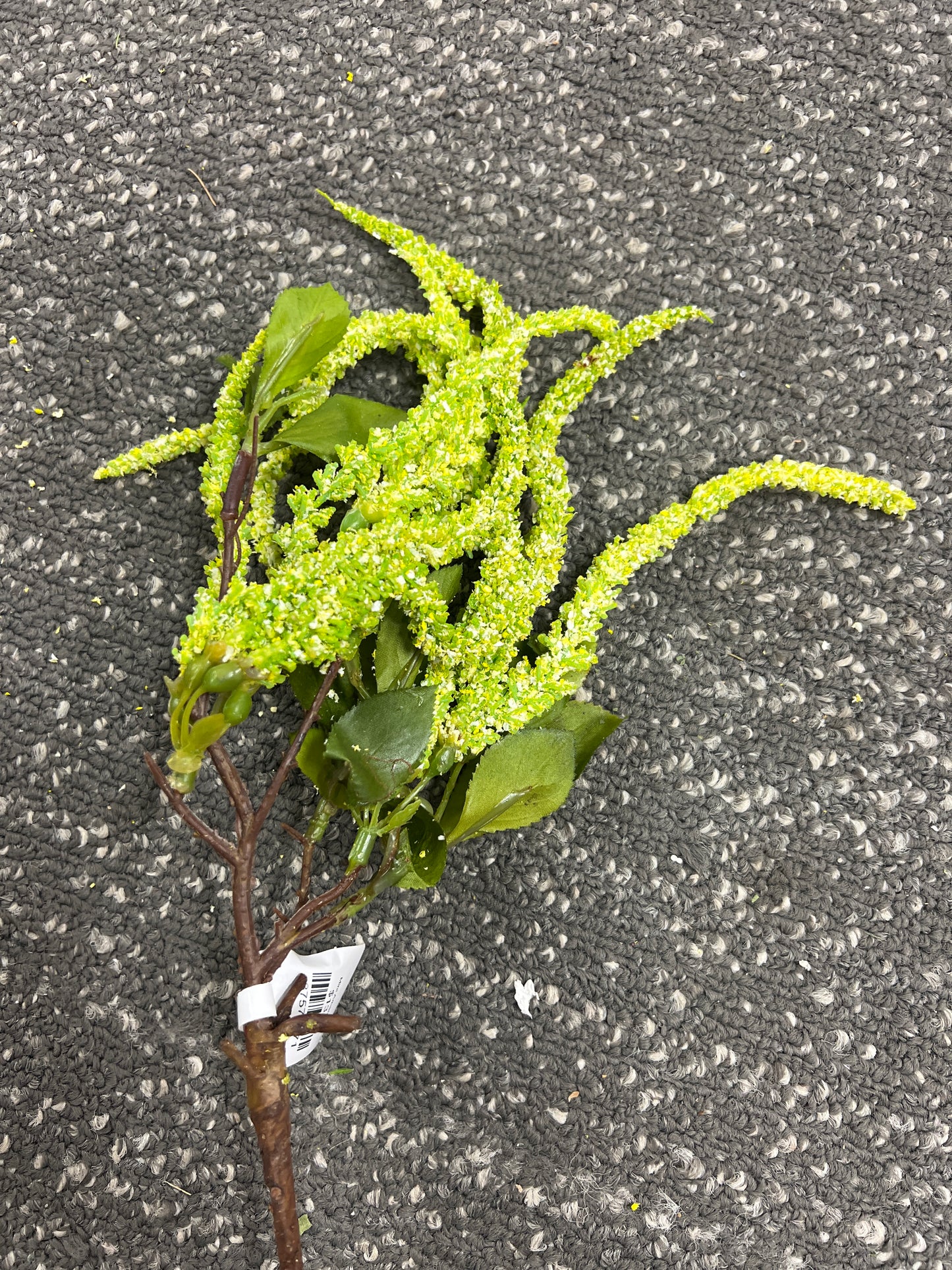 Mini Amaranthus 19" Cream