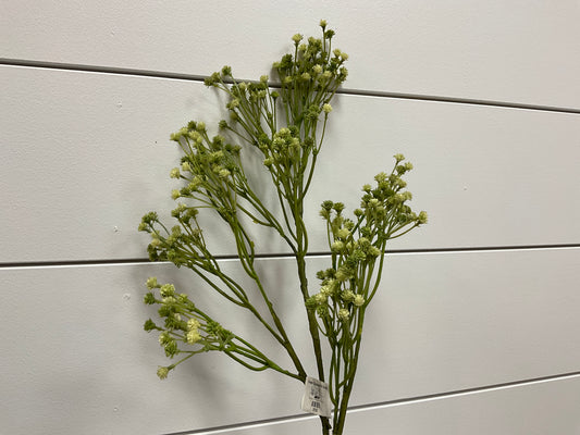 Green Gypsophila Spray