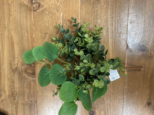 18" Boxwood and Eucalyptus Pick