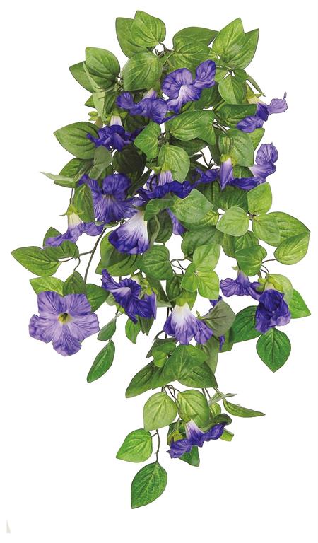 Petunia Bush/Vine