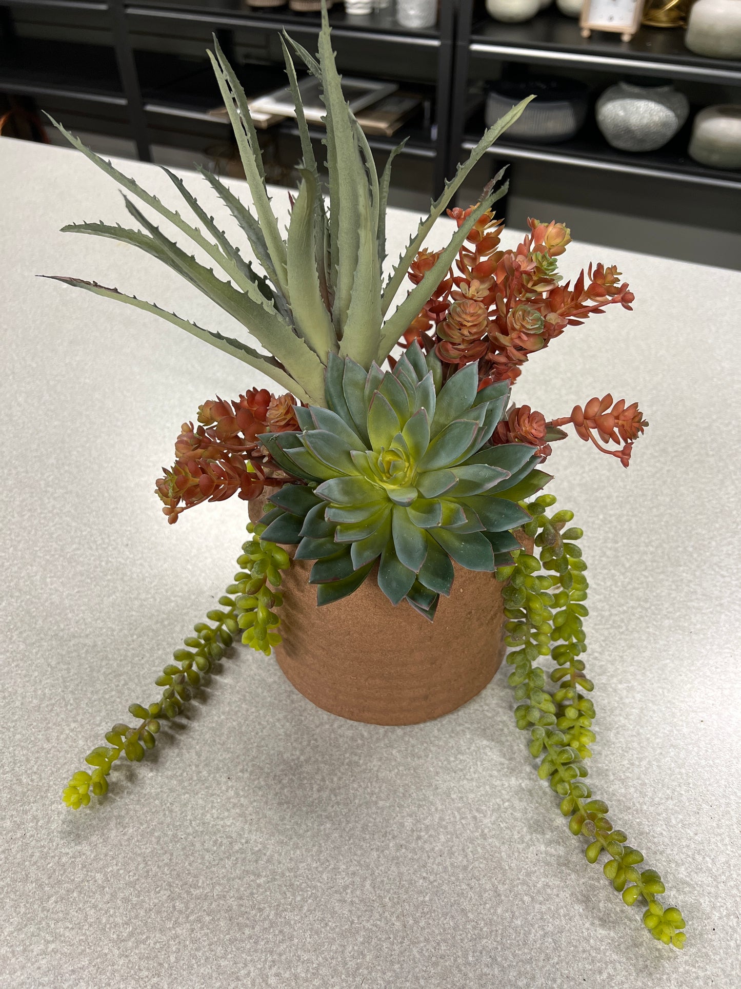 Rust Planter with Succulents