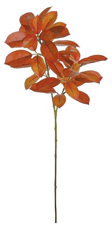 Citrus Leaf Spray, #FL5745-BURT