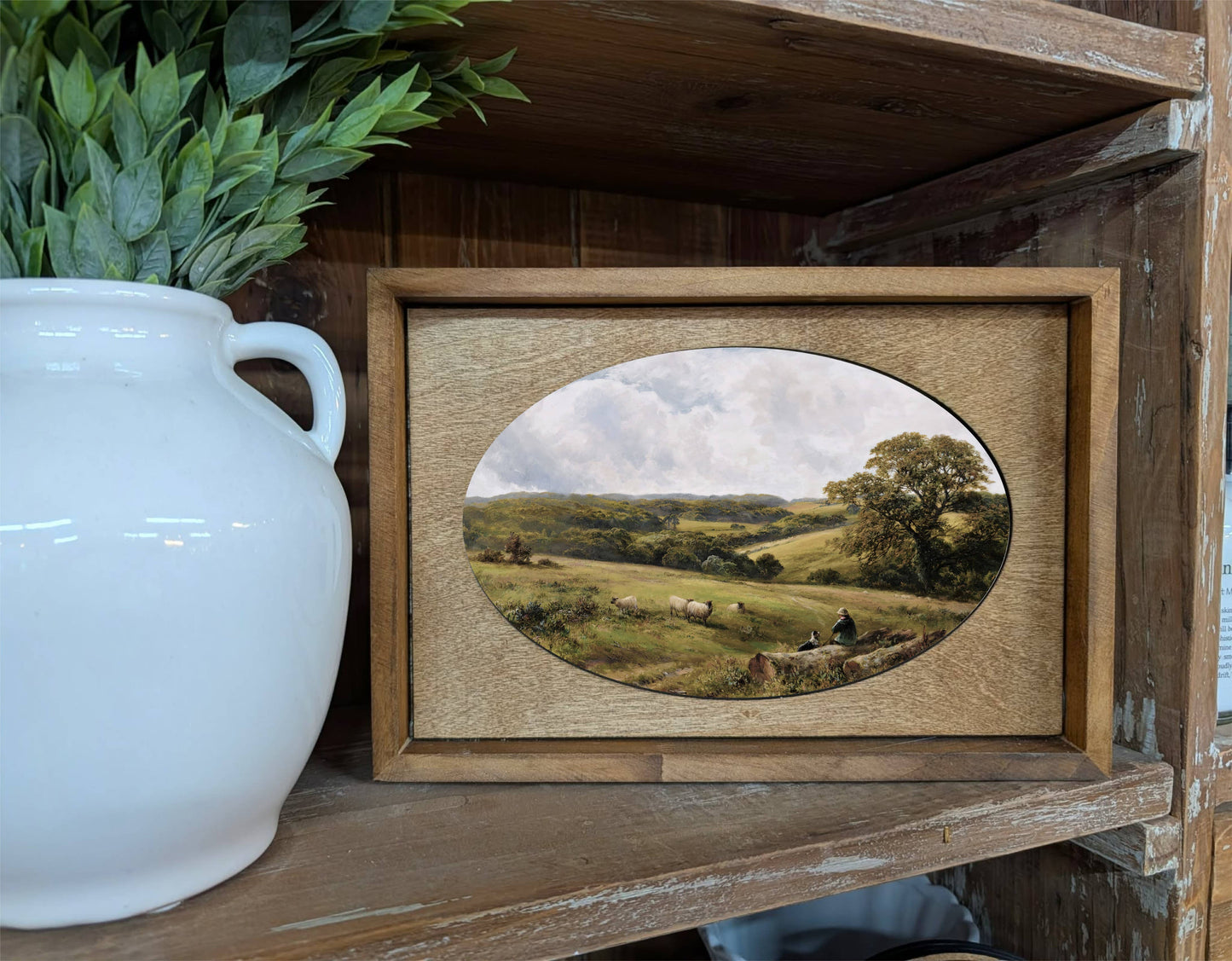 Box Framed Canvas Art Sheep