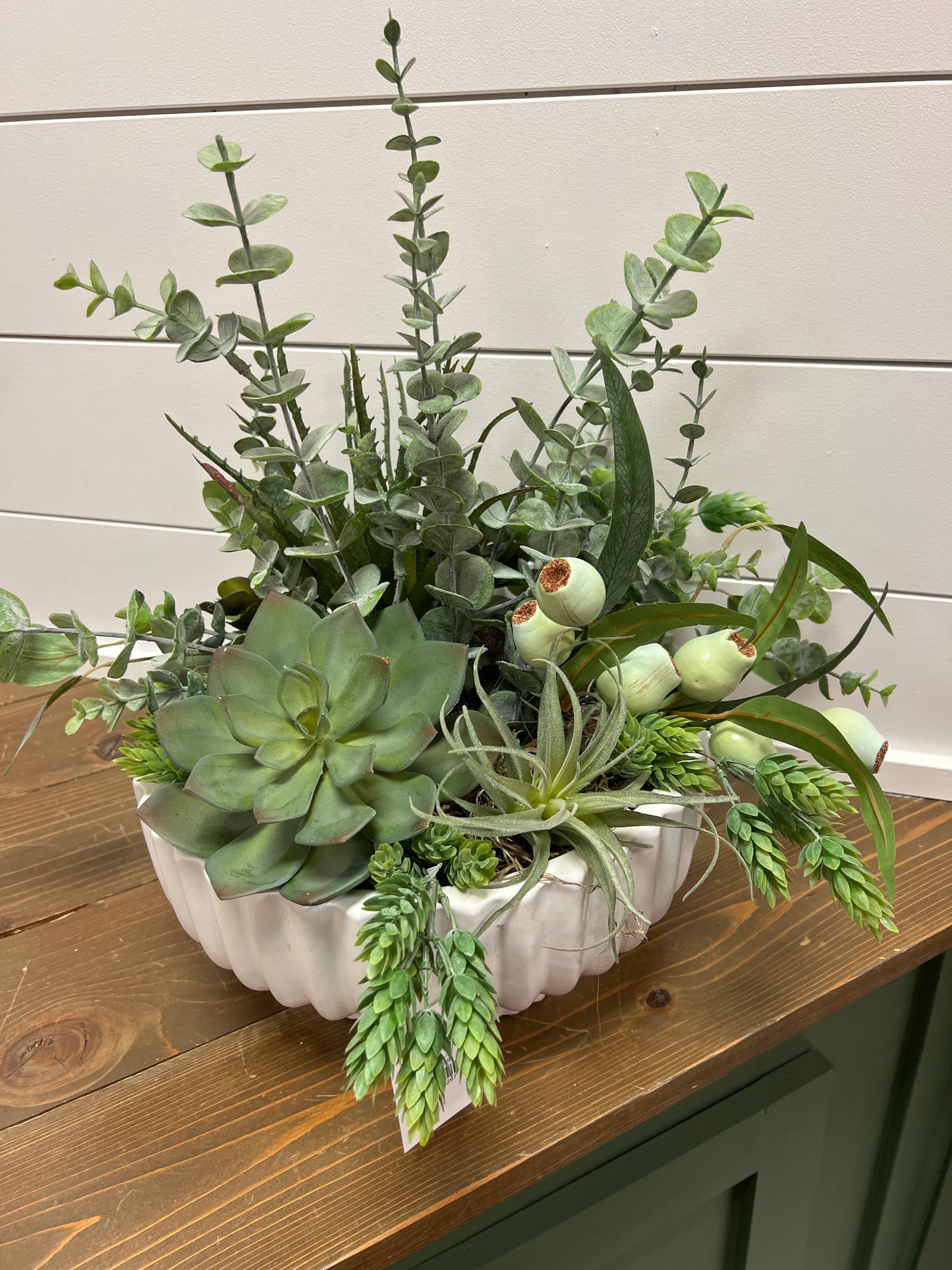 Succulents in White Container