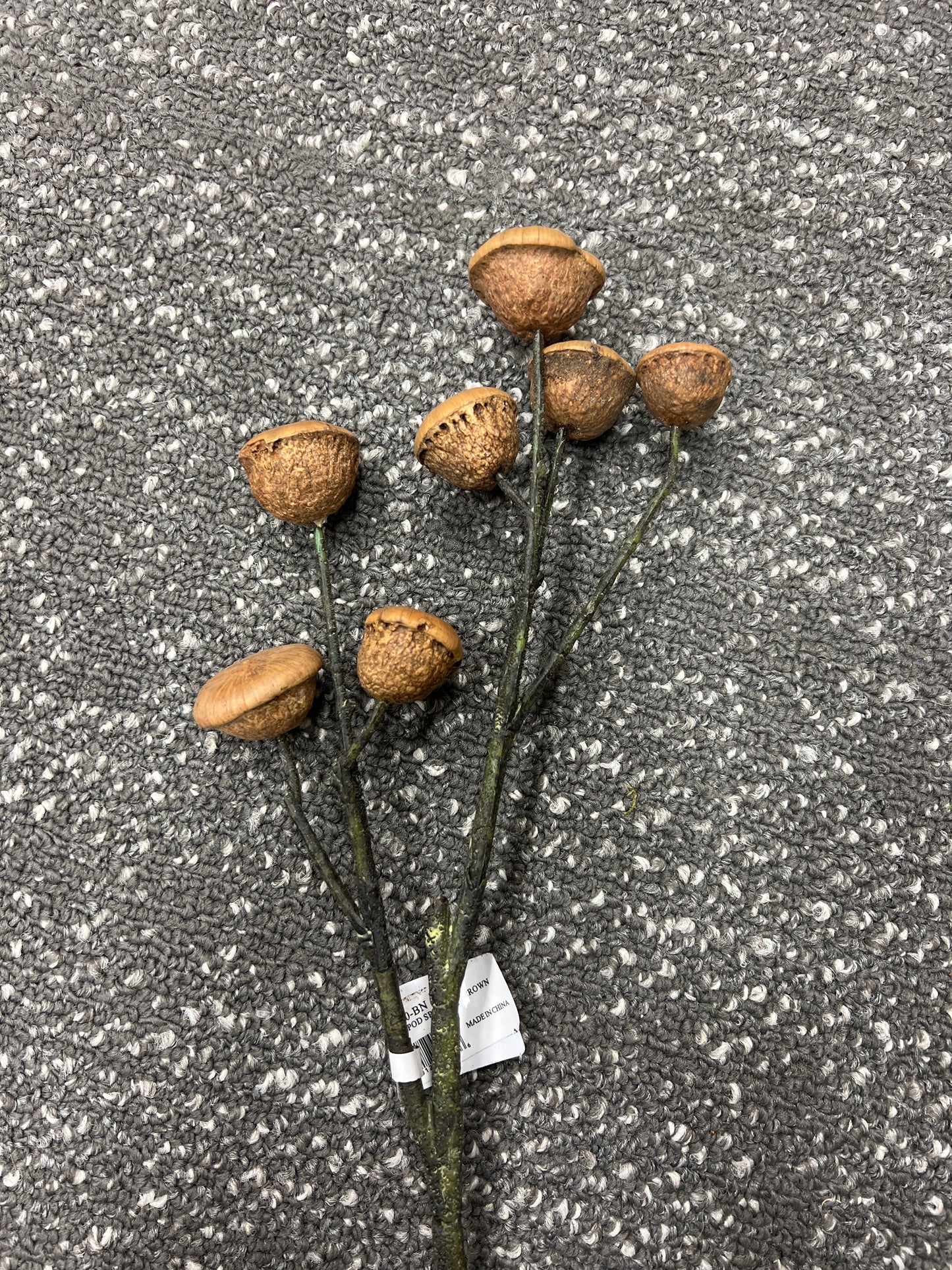 Brown Ling Pod Spray