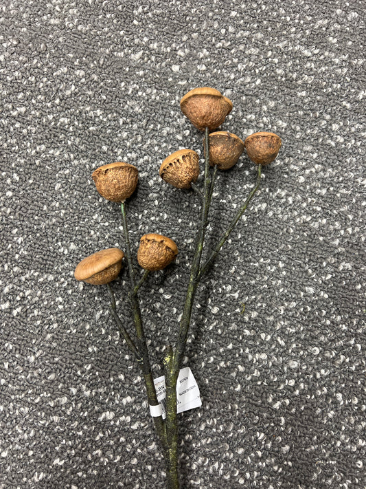 Brown Ling Pod Spray