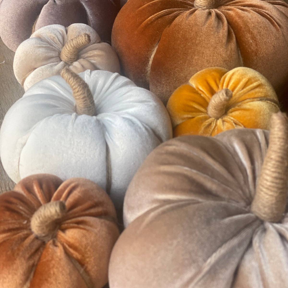 CF-3116 - Sm. Saddle Velvet Pumpkin