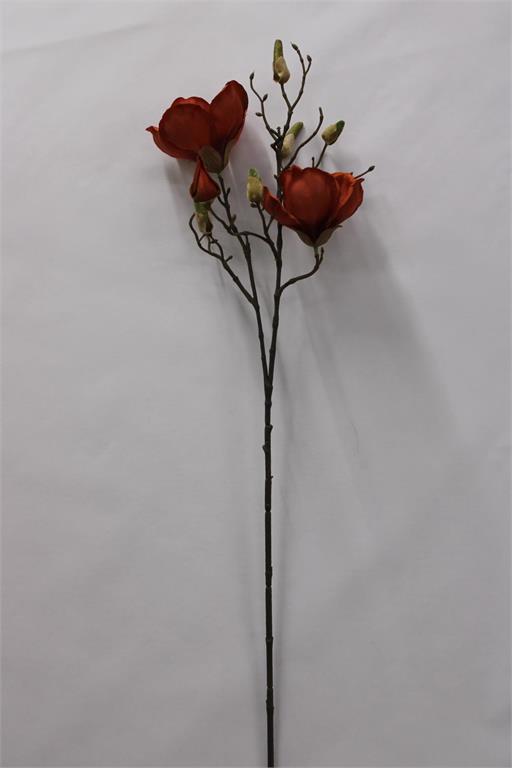 Burnt Orange Magnolia 34"