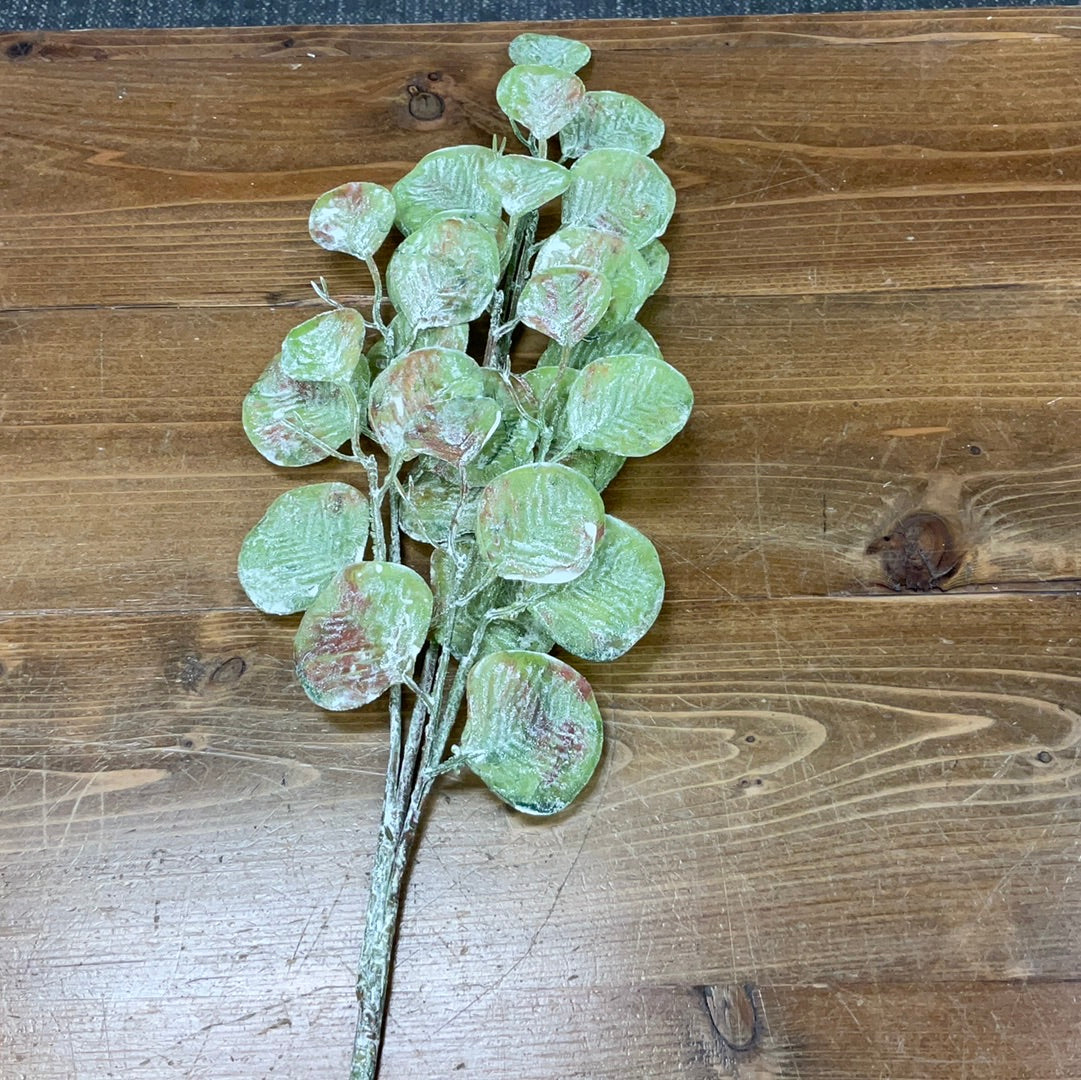 36" Eucalyptus Spray GR