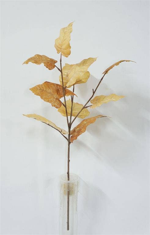 Leaf Spray, #FL7148-LBRN