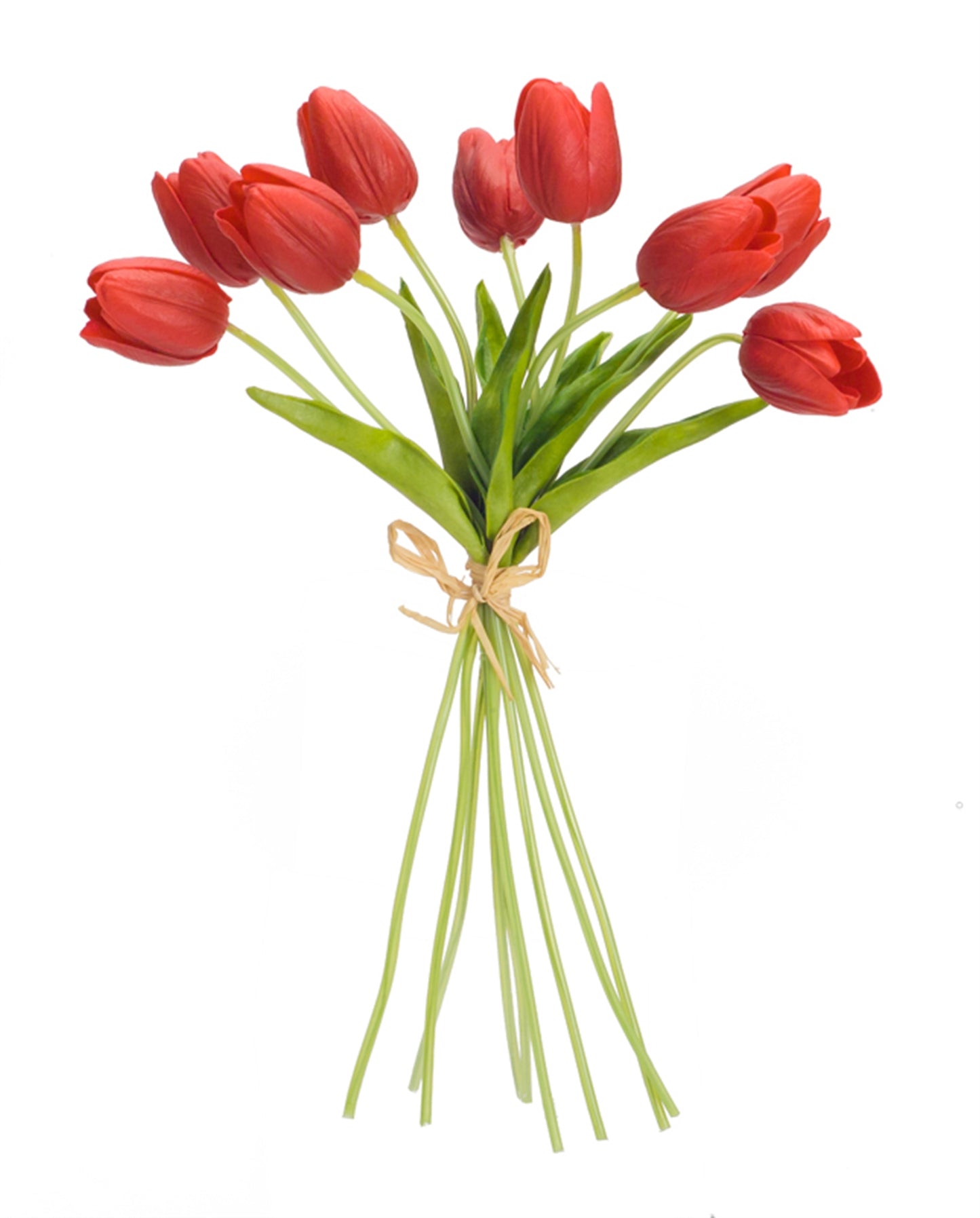 Red Tulip Bundle
