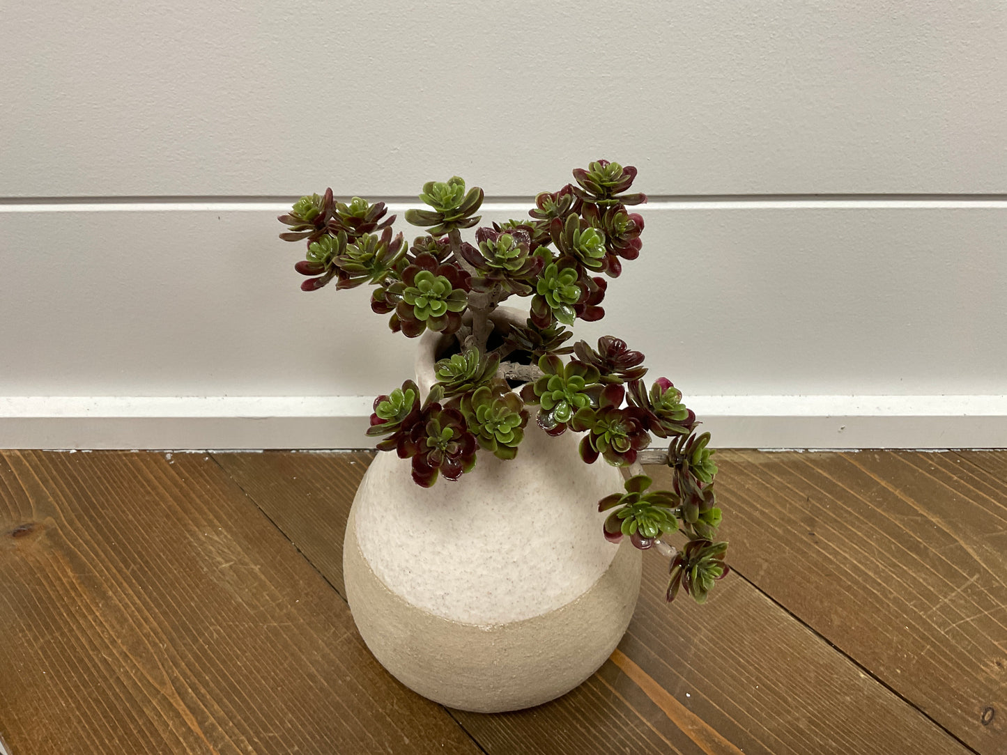 5" Sedum Pick 30L GR/BU