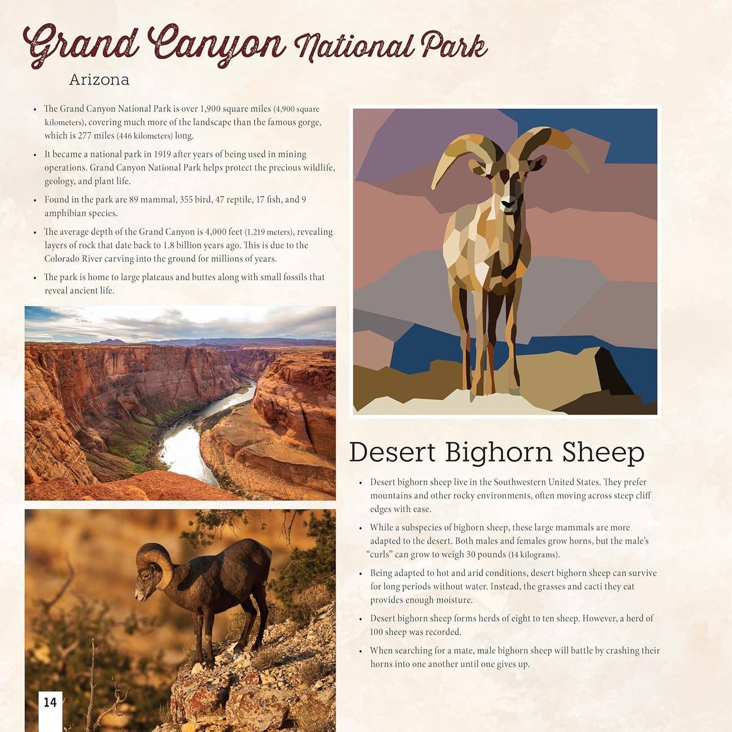 National Parks of N.America AMAZING ANIMALS Sticker Painting