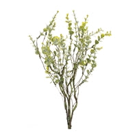 Boxwood Spray