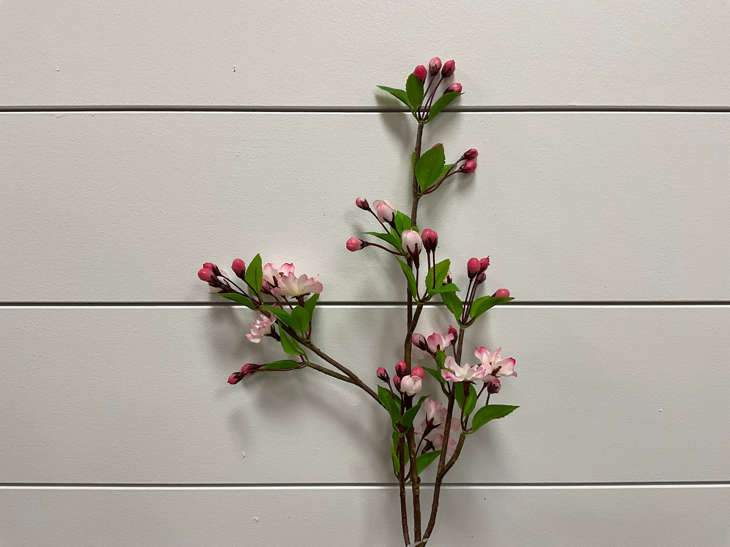 P-M Hall Crabapple Blossom Spray