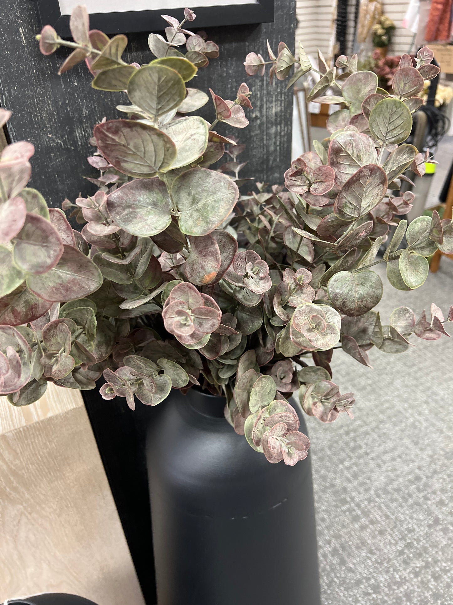 Plum 34" Euc Spray