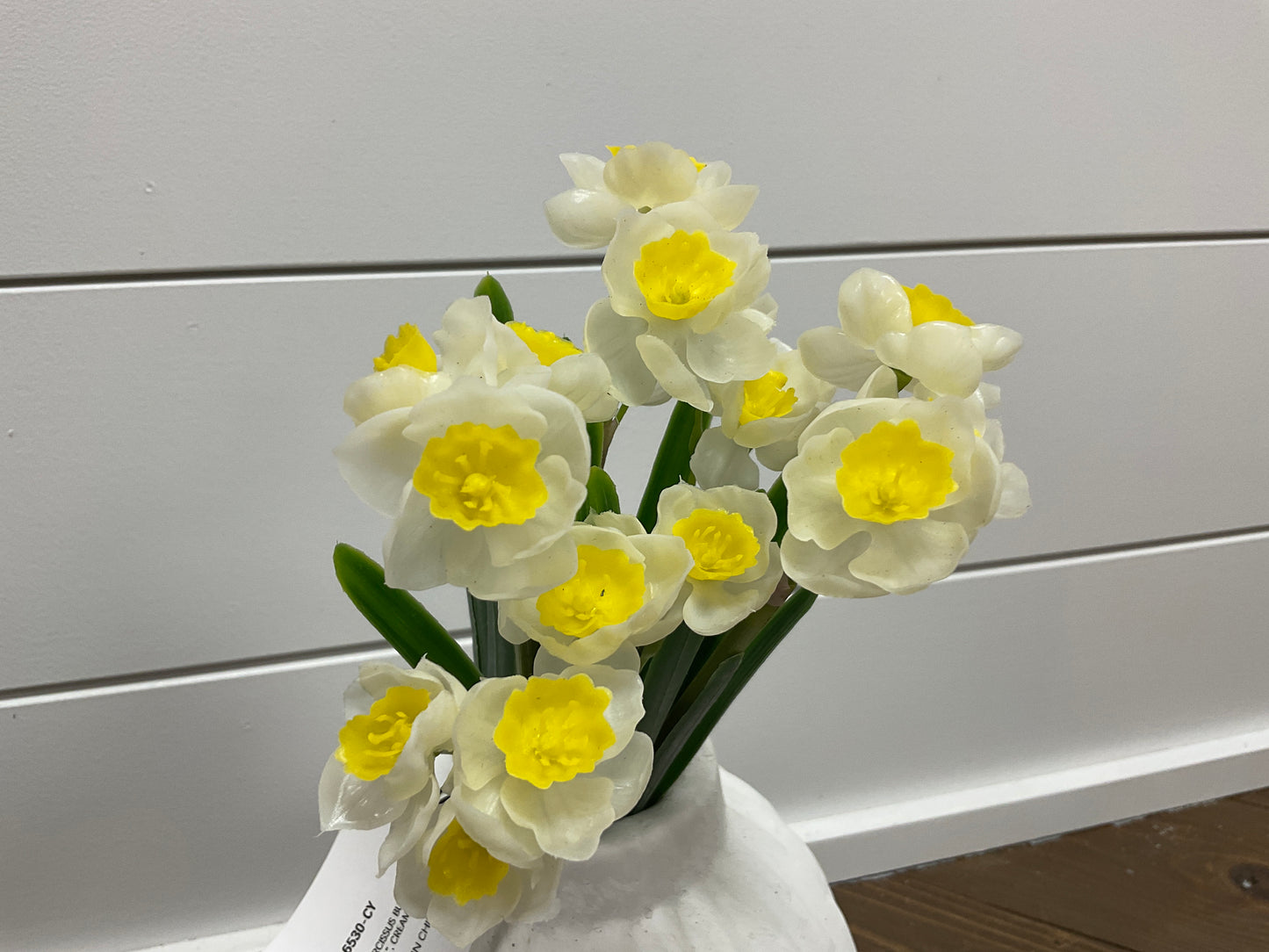 Narcissus Bundle