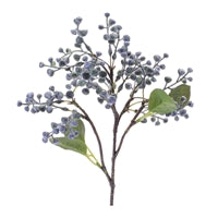 Berry Pick
