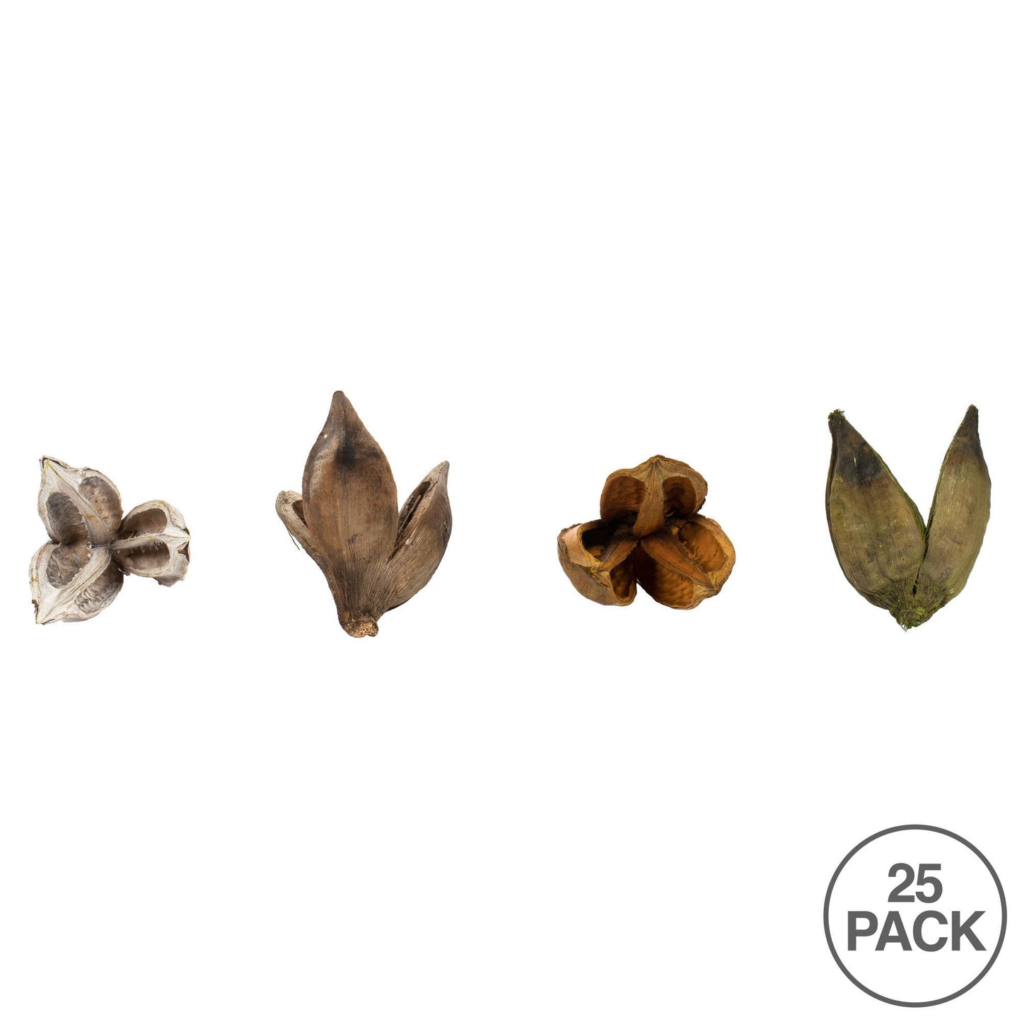 Vickerman 3-4" Assorted Sora Pods Asst