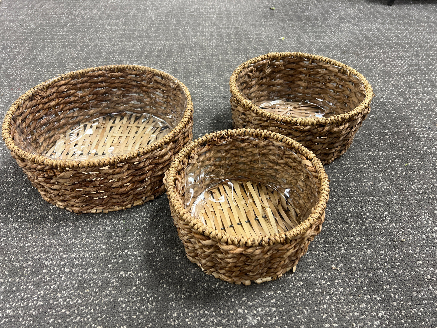 Seagrass DishCover