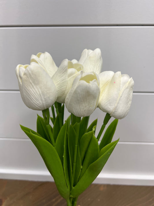 Tulip Bush