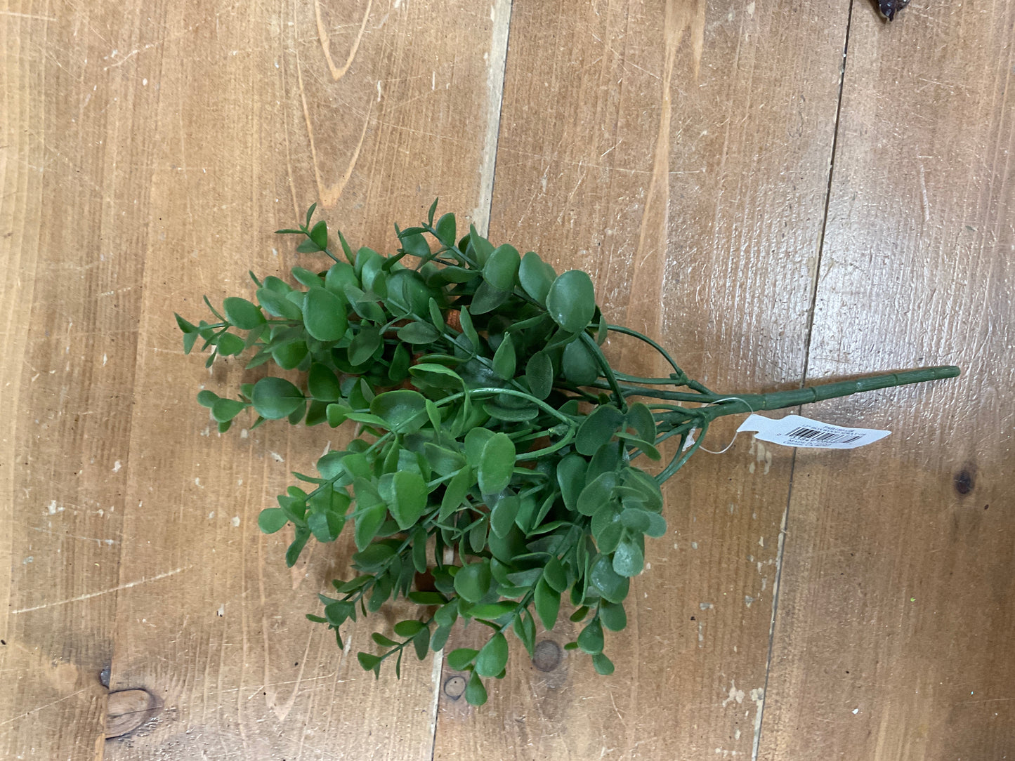 12" Boxwood Spray