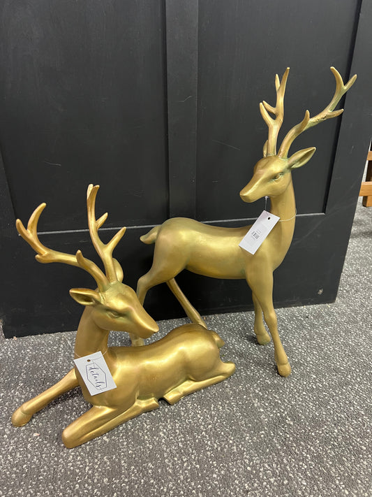 Golding Sitting Deer