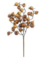 Coffee Berry Pick
