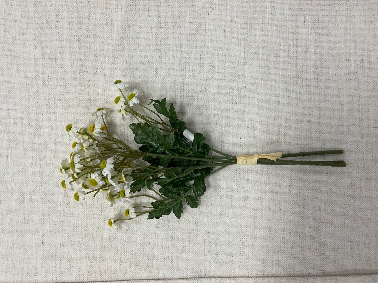 12" Mini Daisy Bundle x3 WH